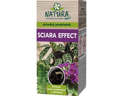 sciara3